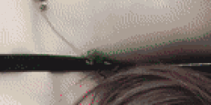 <?php the_title(); ?>
