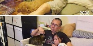 看完这几组照片，才知道时间有多可怕！