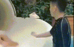 美女内涵gif动图：放开那臀，让我来